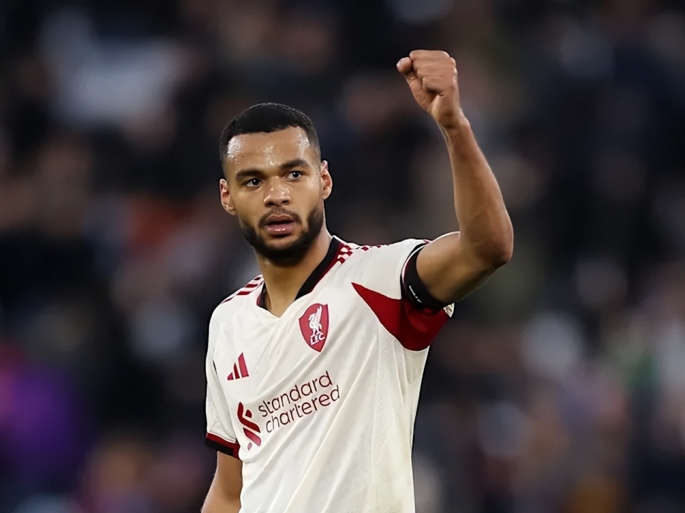 足协杯决赛：河南球迷接近北京的三倍；河南省领导将现场观战