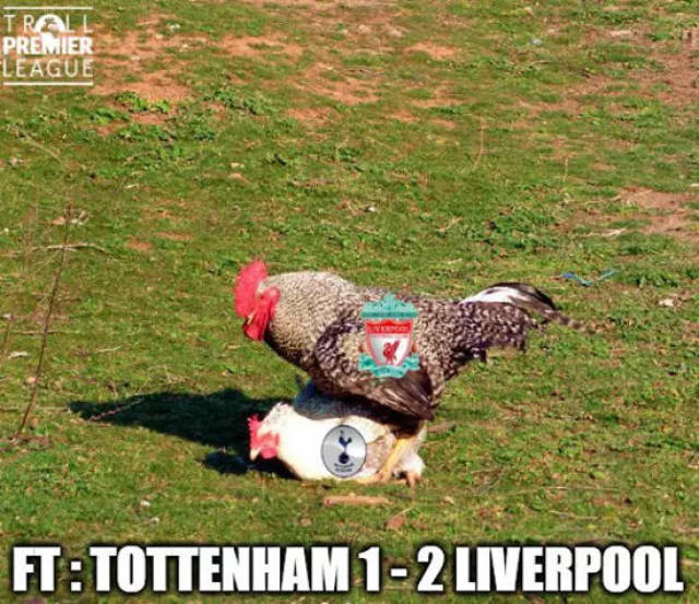 2026澳网亚太区外卡赛男单决赛：中国选手布云朝克特夺冠